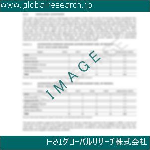 グローバルリサーチ調査資料のイメージ